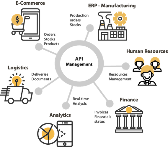 API WebServices MicroServices Management